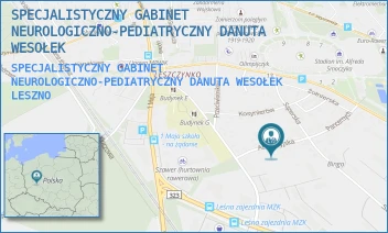 SPECJALISTYCZNY GABINET NEUROLOGICZNO-PEDIATRYCZNY DANUTA WESOŁEK - SPECJALISTYCZNY GABINET NEUROLOGICZNO-PEDIATRYCZNY DANUTA WESOŁEK - ARTYLERYJSKA 3,  LESZNO